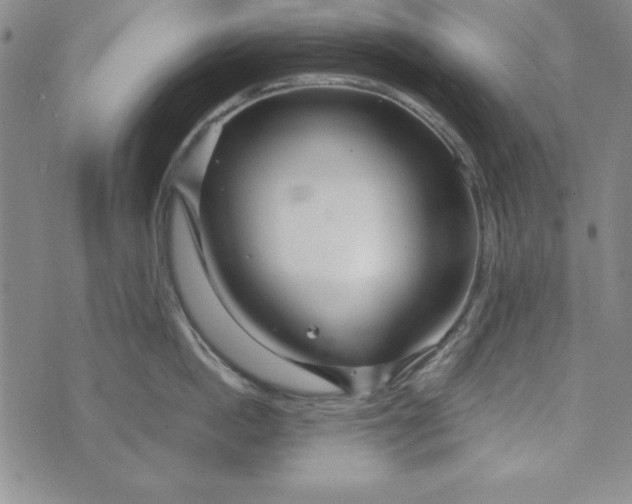 X0000076270862200610191738