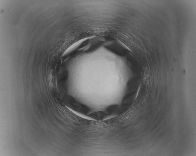 X0000076270866200610191737