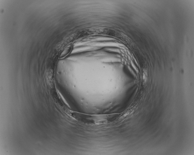 X0000076270867200610191737