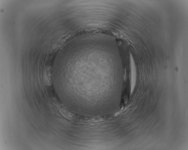 X0000076270868200610191737