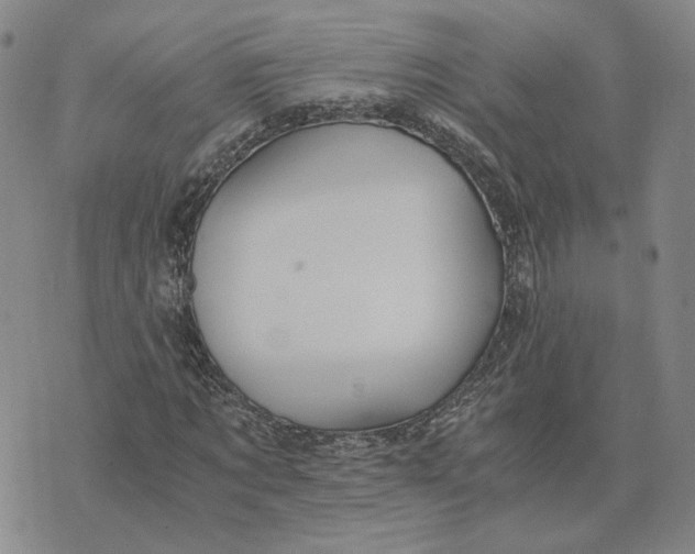 X0000076270869200610191737