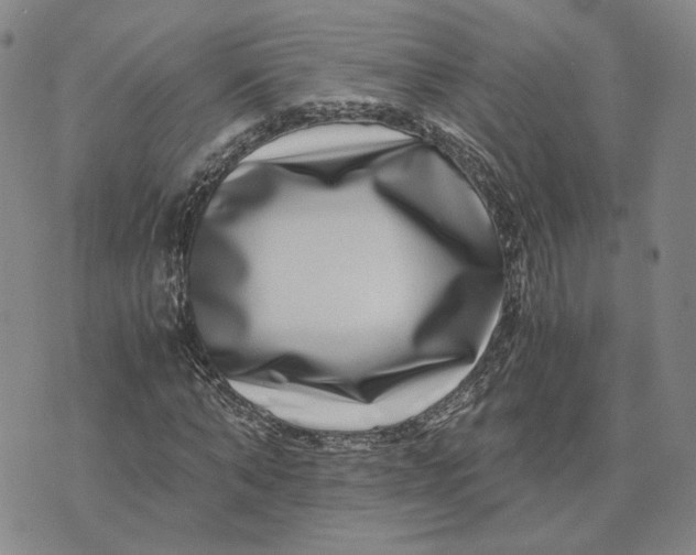 X0000076270870200610191737