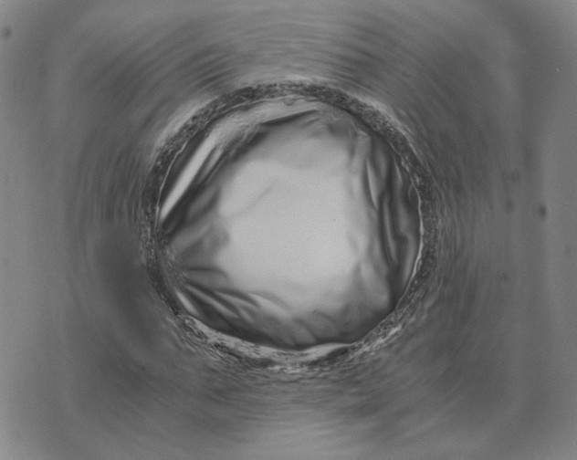 X0000076270871200610191737