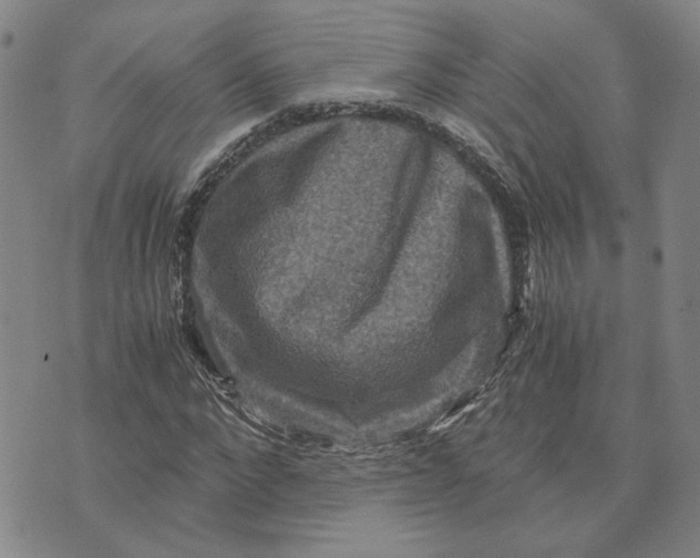 X0000076270872200610191737