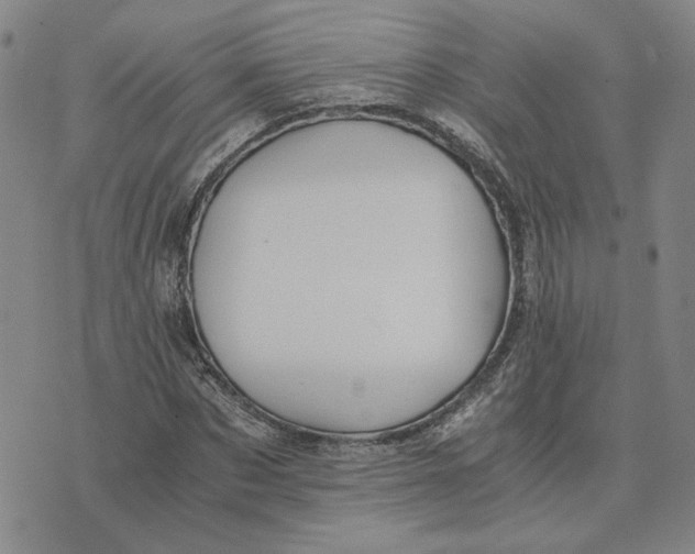 X0000076270873200610191737