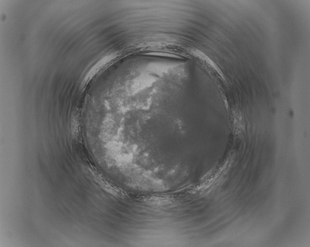 X0000076270874200610191737