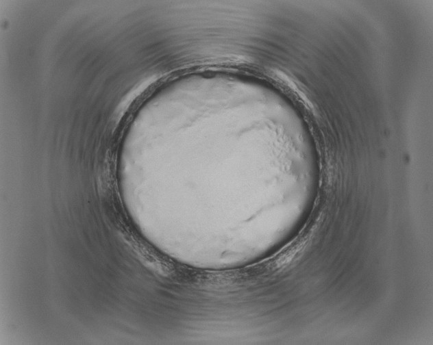 X0000076270875200610191737