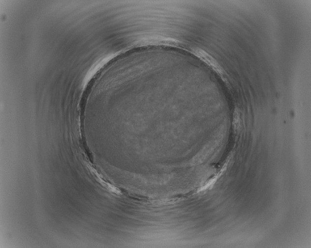 X0000076270877200610191737