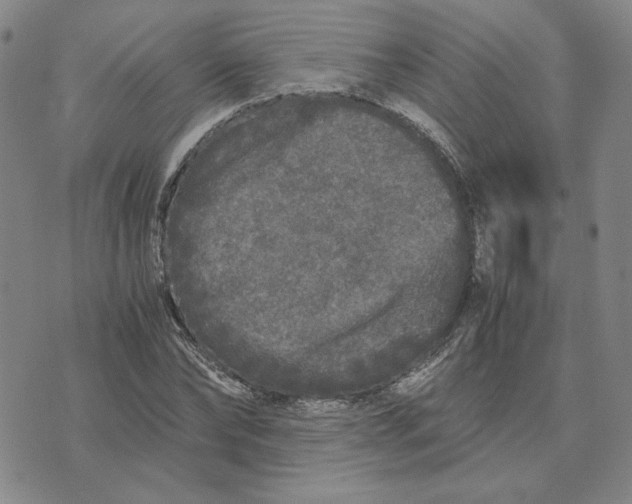 X0000076270878200610191737