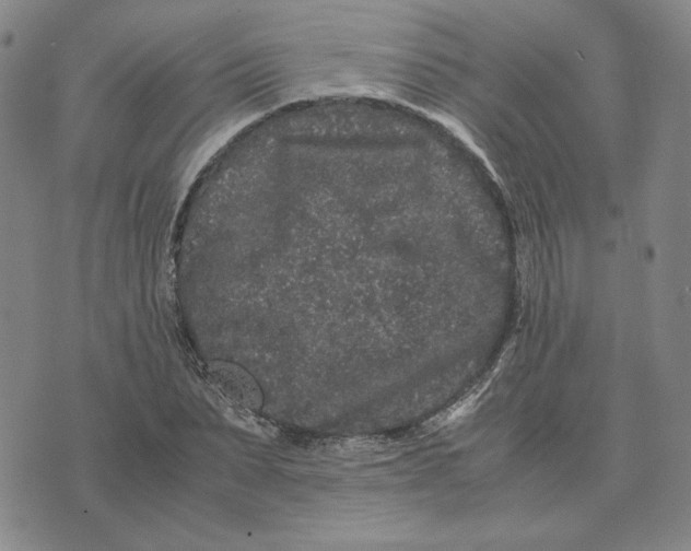 X0000076270879200610191737