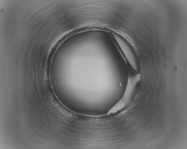 X0000076270880200610191737