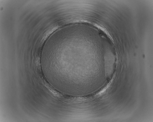 X0000076270881200610191737