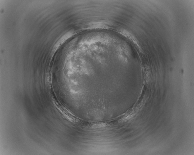 X0000076270882200610191737