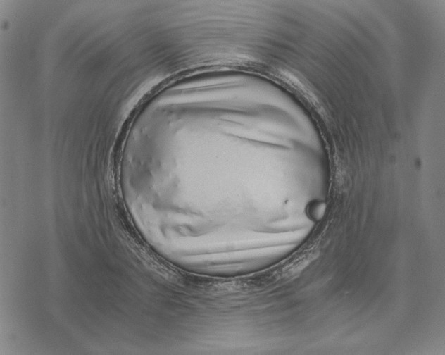 X0000076270883200610191737