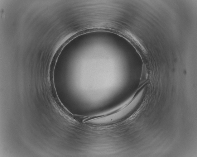 X0000076270884200610191737