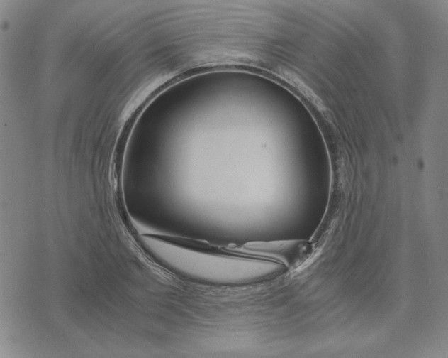 X0000076270885200610191737