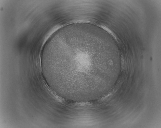 X0000076270886200610191737