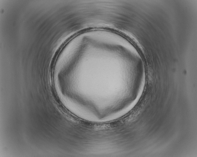 X0000076270887200610191737