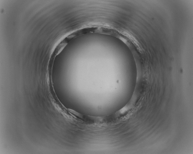 X0000076270888200610191737