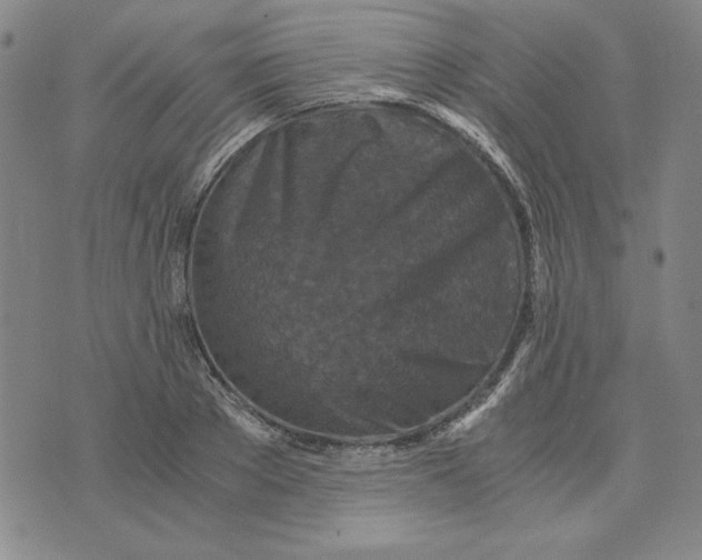 X0000076270889200610191737