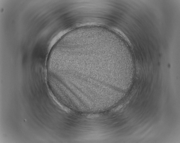 X0000076270890200610191736