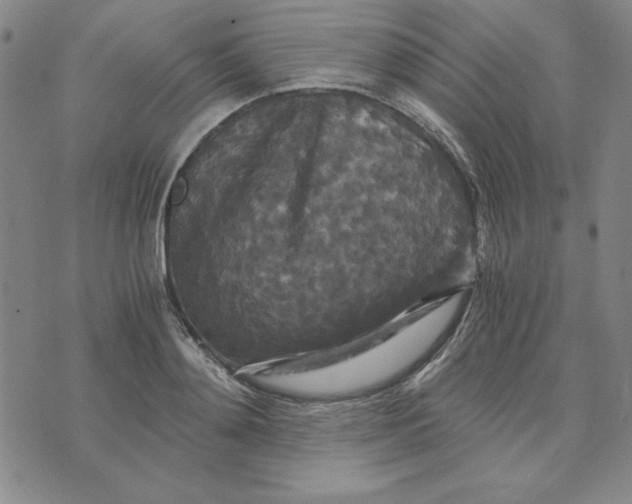 X0000076270892200610191736