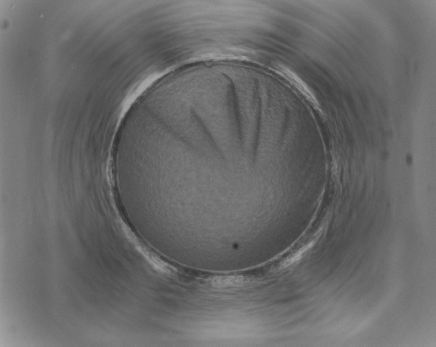 X0000076270893200610191736