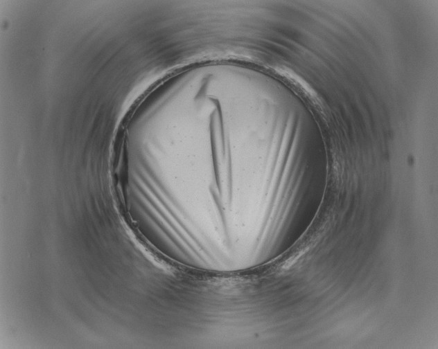 X0000076270894200610191736