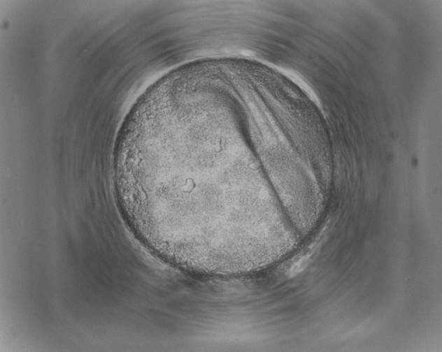 X0000076270895200610191736