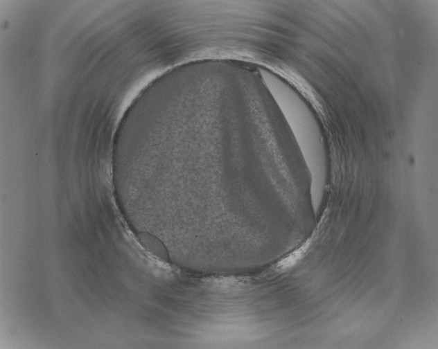 X0000076270896200610191736