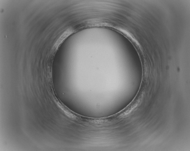 X0000076270897200610191736