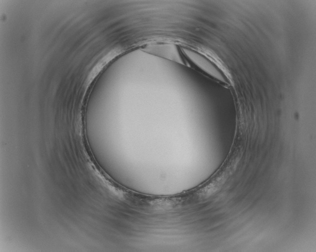 X0000076270898200610191736