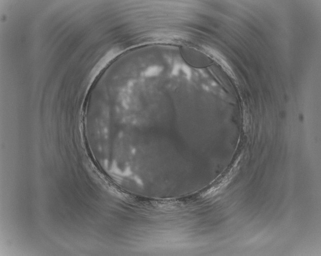 X0000076270899200610191736