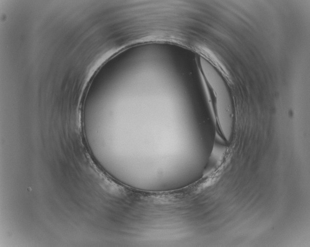 X0000076270900200610191736