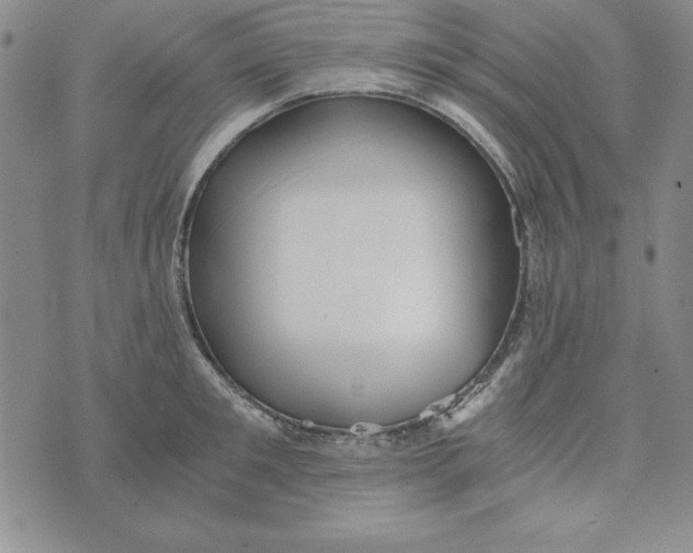 X0000076270901200610191736