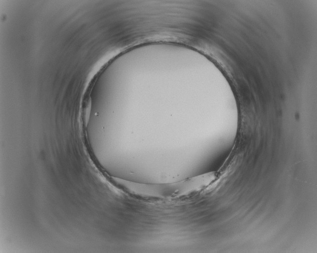 X0000076270902200610191736