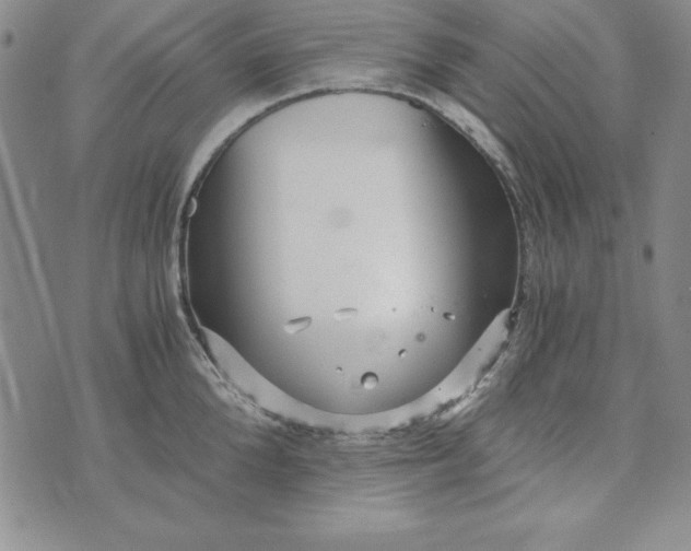 X0000076270904200610191736