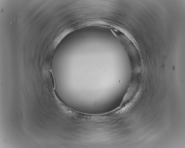 X0000076270905200610191736