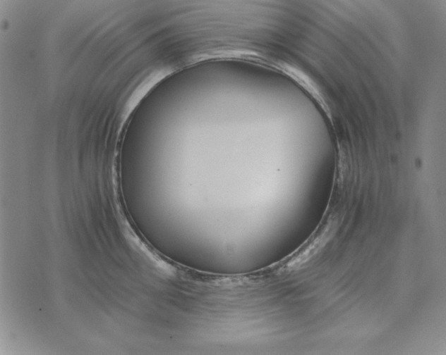 X0000076270906200610191736