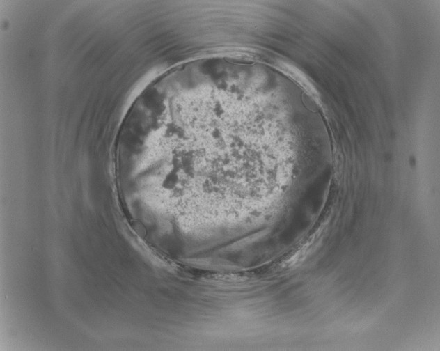 X0000076270907200610191736