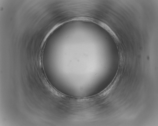 X0000076270908200610191736