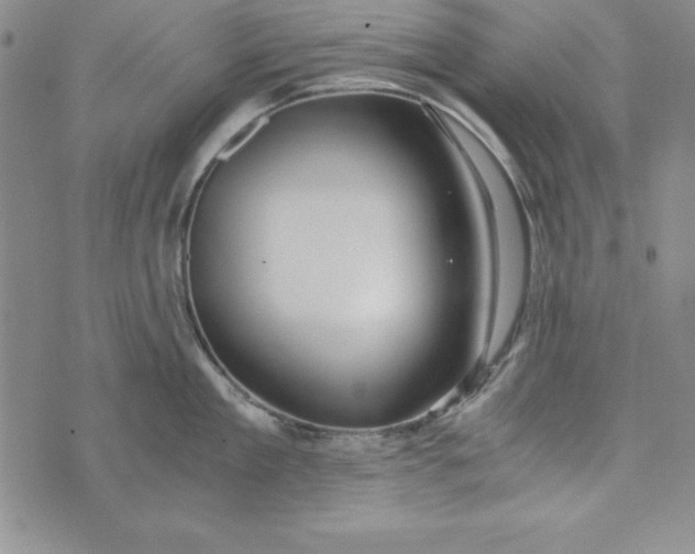 X0000076270909200610191736