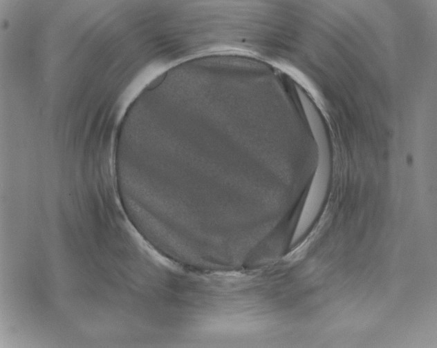 X0000076270910200610191736