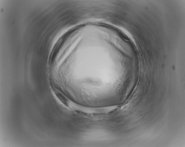 X0000076270911200610191736