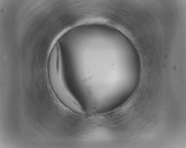 X0000076270912200610191736