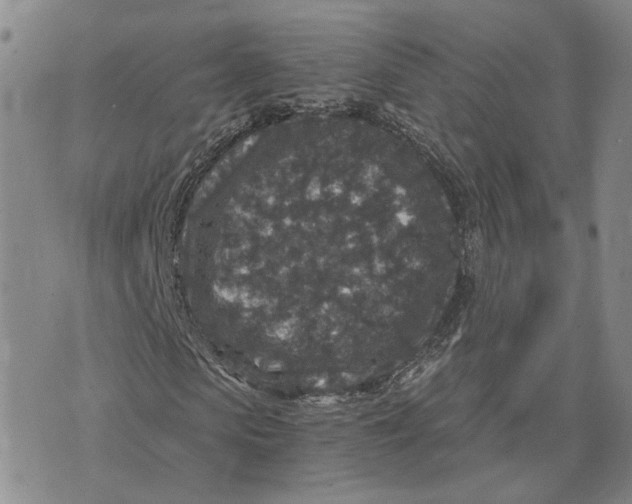 X0000076270913200610191735