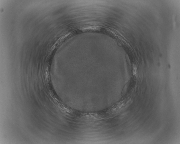 X0000076270915200610191735