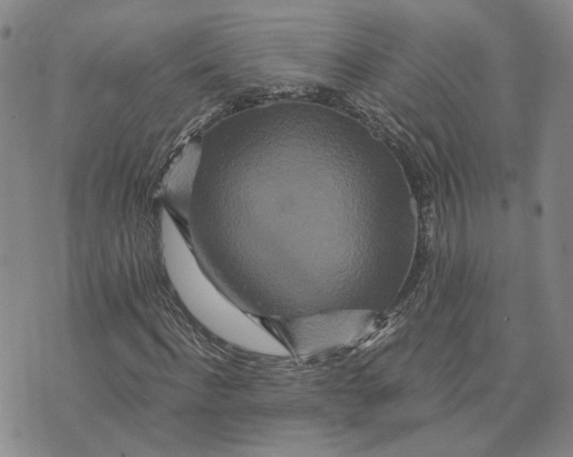 X0000076270916200610191735