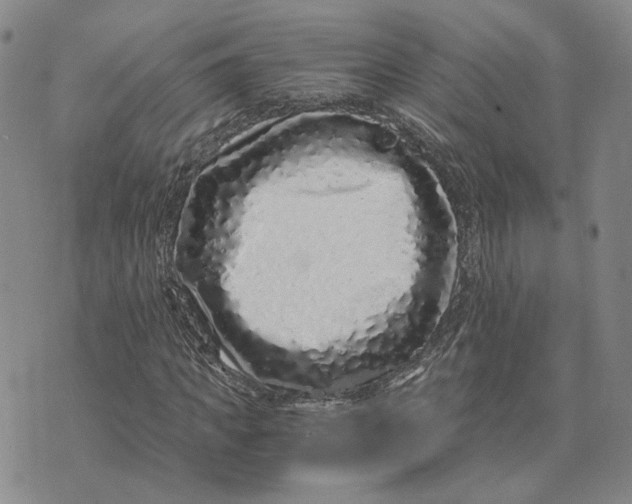 X0000076270917200610191735