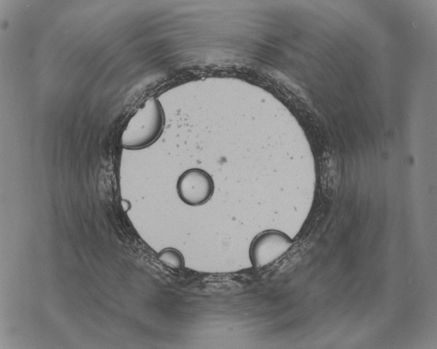 X0000076270918200610191735